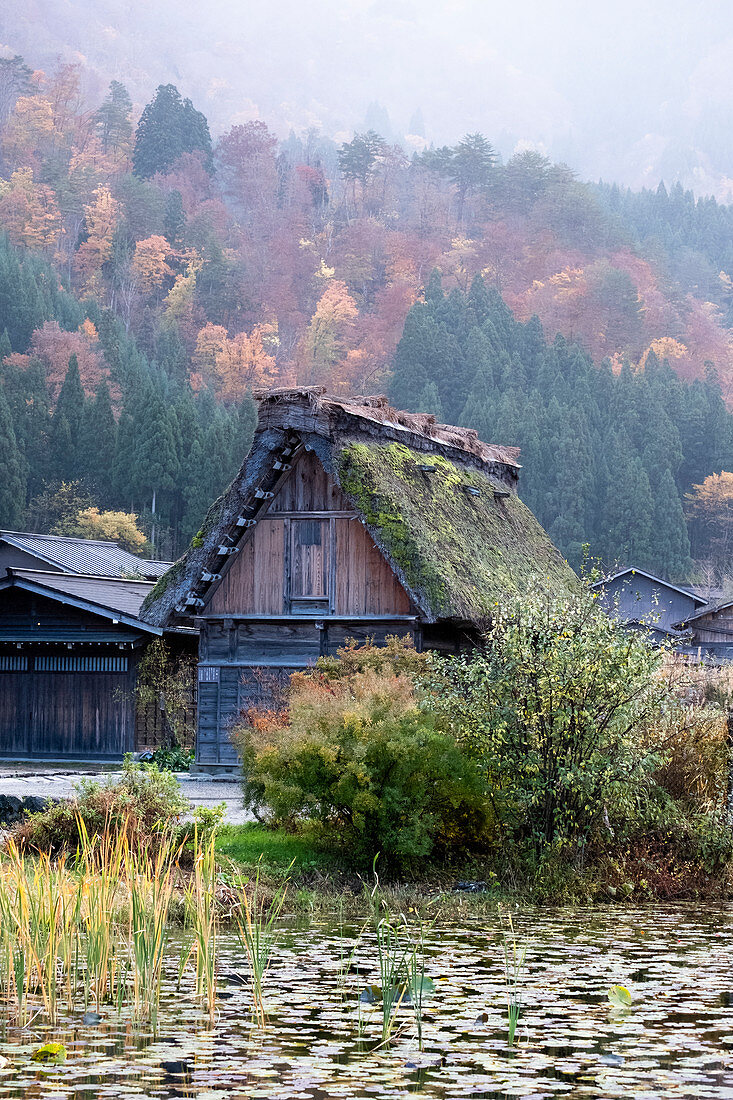 Japan, Shirakawago village