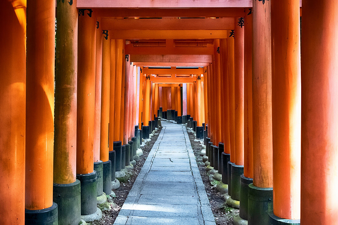 Japan, Kyoto, Fushimi Inari-Schrein, Torii-Tore