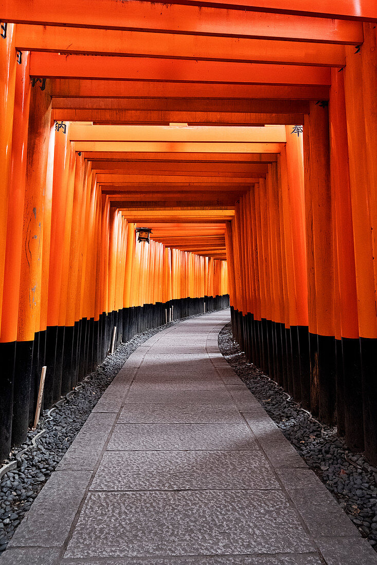 Japan, Kyoto, Fushimi Inari-Schrein, Torii-Tore