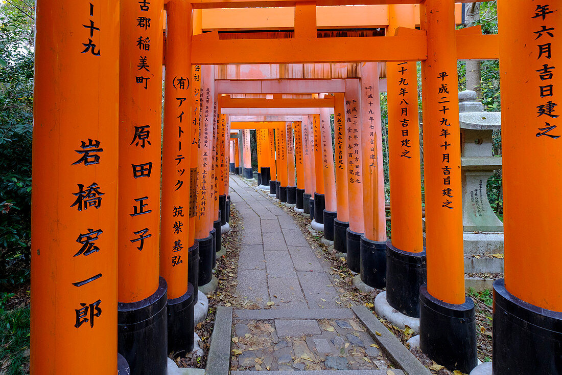 Japan, Kyoto, Fushimi Inari-Schrein, Torii-Tore