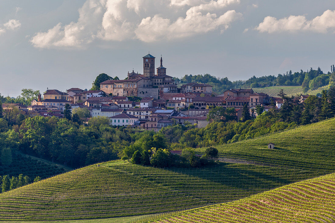 Monferrato, Asti Bezirk, Piemont, Italien. Landschaften der Weinregion Monferrato, Dorf Grazzano Badoglio