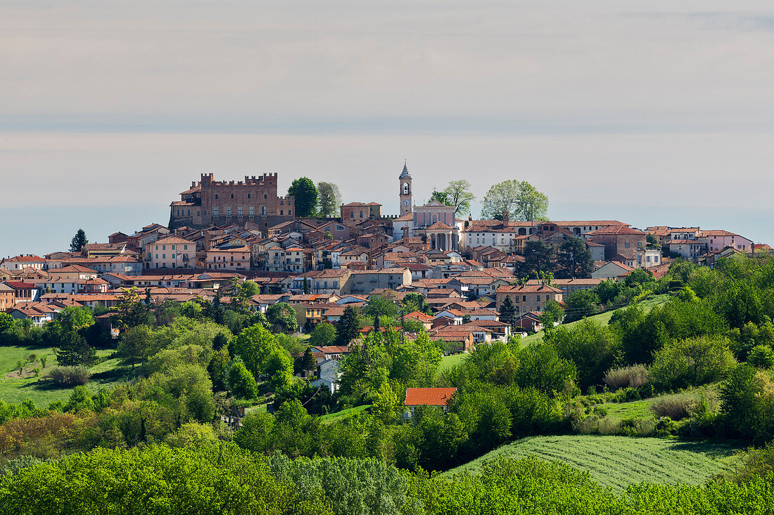 Monferrato, Asti district, Piedmont, Italy. Landscapes of the Monferrato wine region, Montemagno village