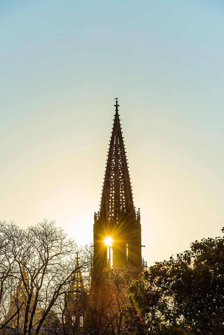 Freiburg Cathedral, sunset, Freiburg im Breisgau, Black Forest, Baden-Wurttemberg, Germany