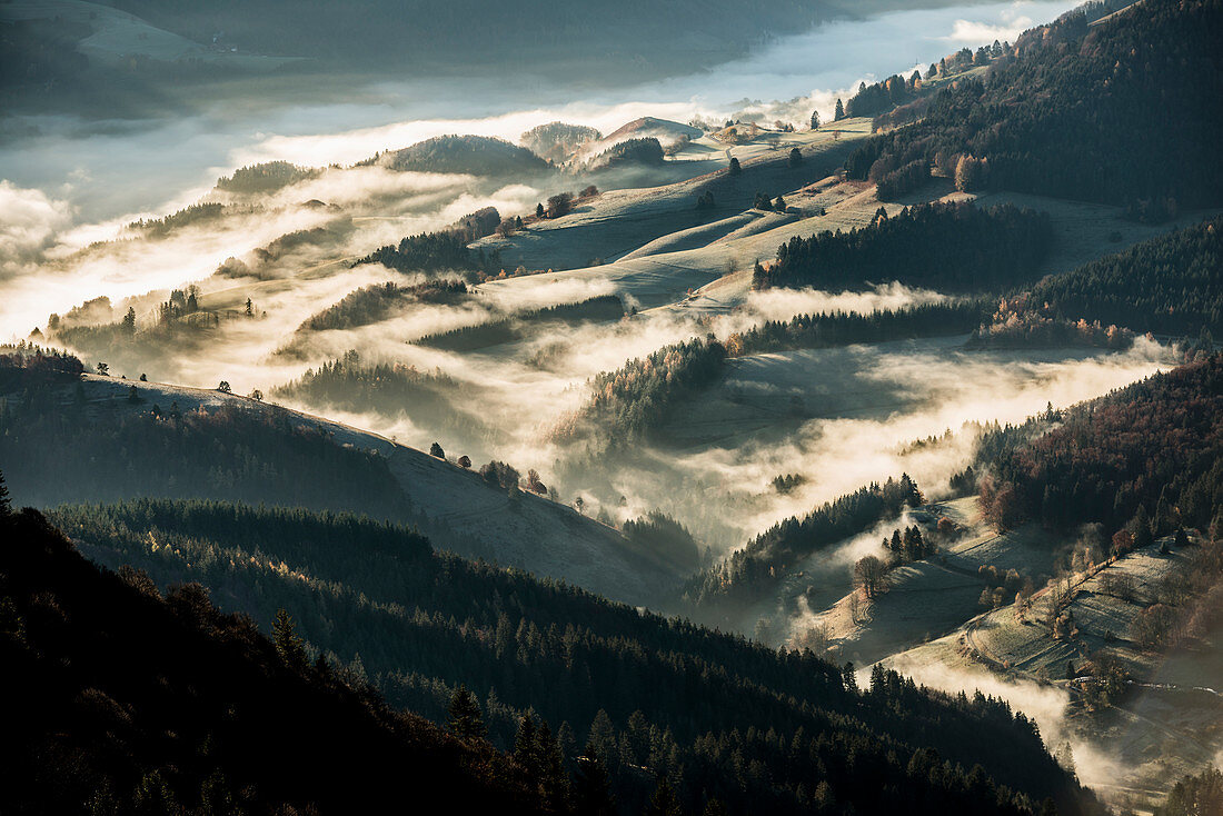 Valleys with morning fog in autumn, view from Belchen, Neuenweg, Black Forest, Baden-Wurttemberg, Germany