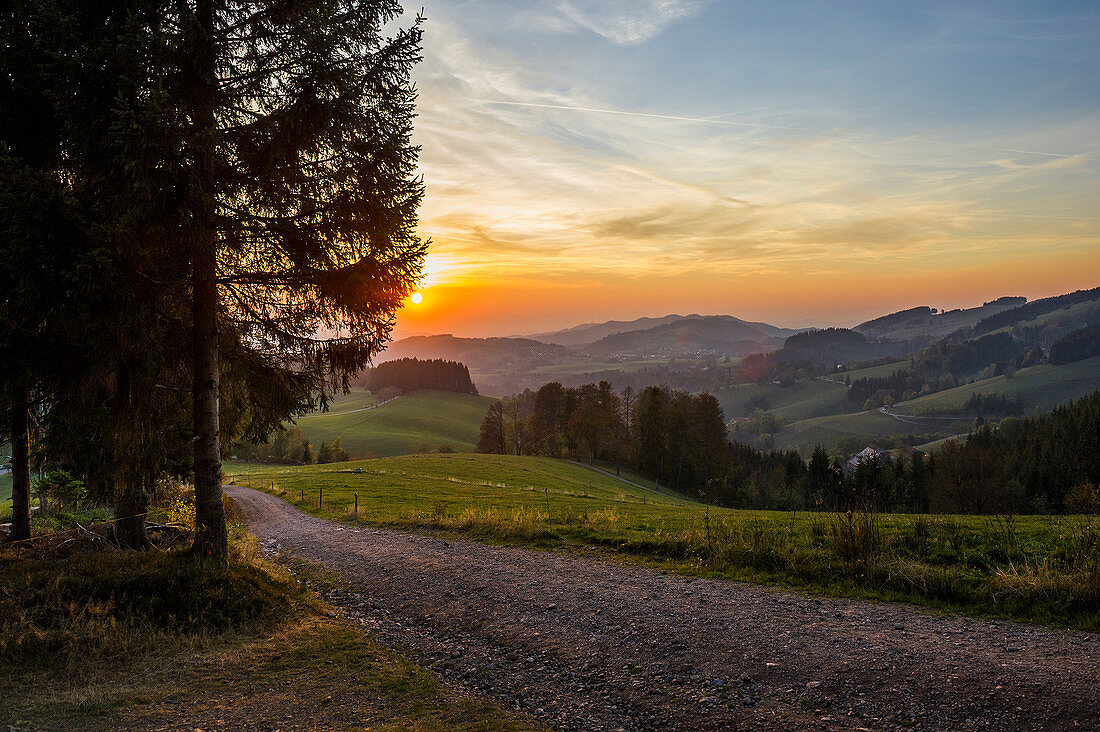 Ausblick auf hügelige Landschaft im Herbst, Sonnenuntergang, bei St Märgen, Schwarzwald, Baden-Württemberg, Deutschland