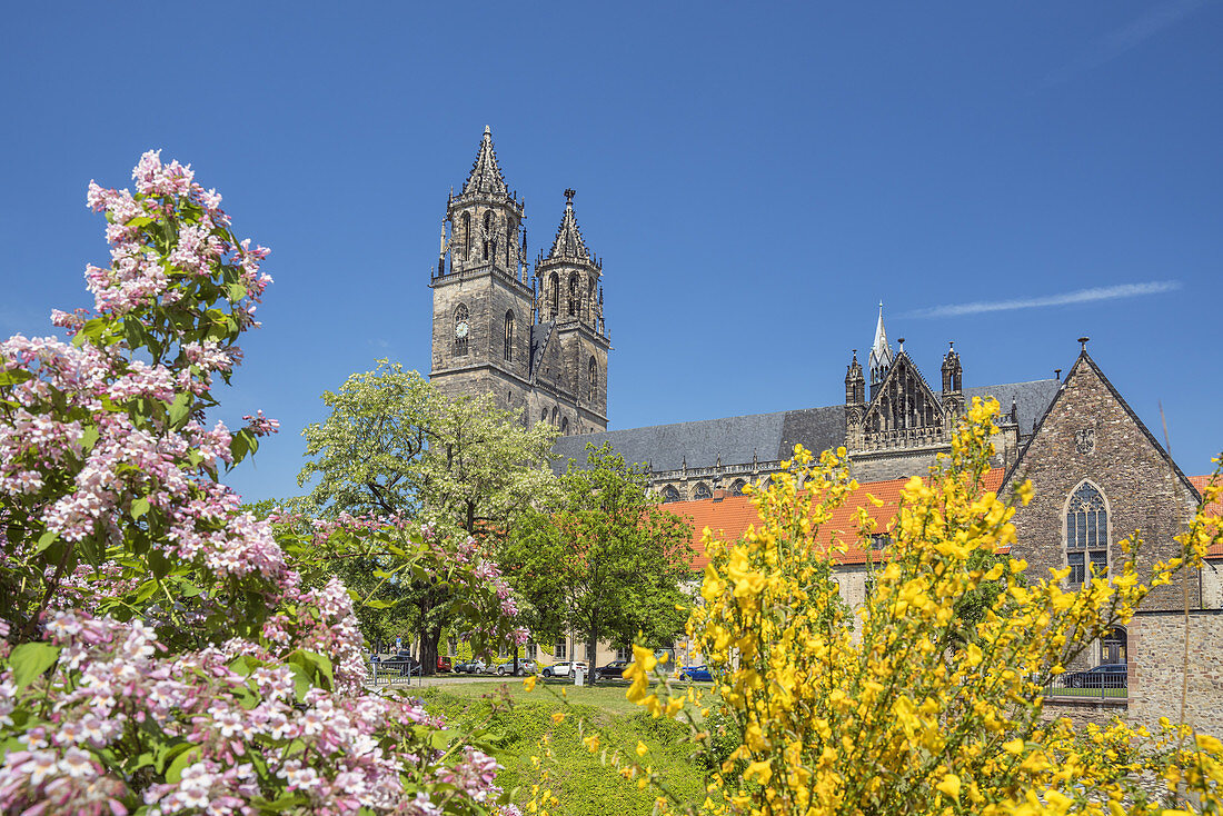 Magdeburg Cathedral and Fürstenwall, Magdeburg, Saxony-Anhalt