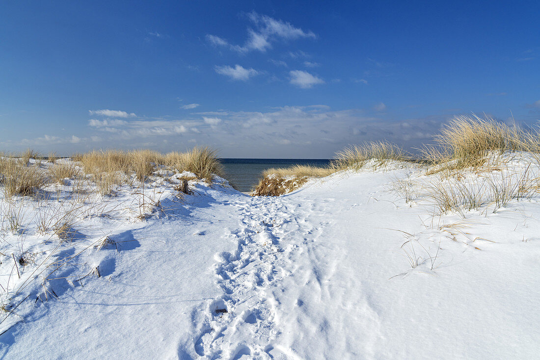 Strand im Ostseebad Wustrow im Winter, Fischland-Darß-Zingst, Ostseeküste, Mecklenburg-Vorpommern, Norddeutschland