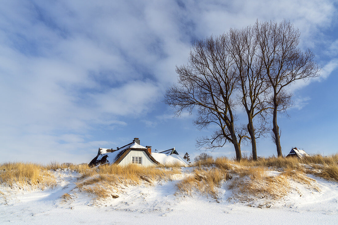 Haus am Meer im Ostseebad Ahrenshoop im Winter, Fischland-Darß-Zingst, Ostseeküste, Mecklenburg-Vorpommern, Norddeutschland