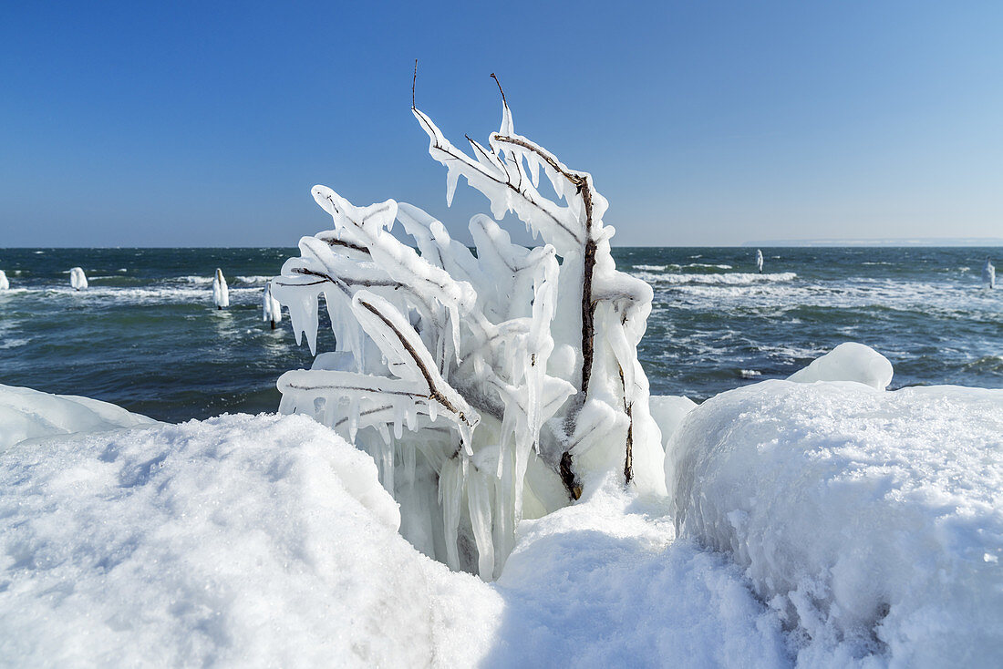 Icy coast in the fishing village of Vitt near Cape Arkona, Wittow peninsula, Rügen, Mecklenburg-Vorpommern, Northern Germany