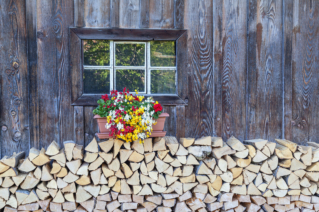 Fenster in Holzhütte mit Holzstoß und Blumen, Gerold, Krün, bei Mittenwald, Oberbayern, Bayern