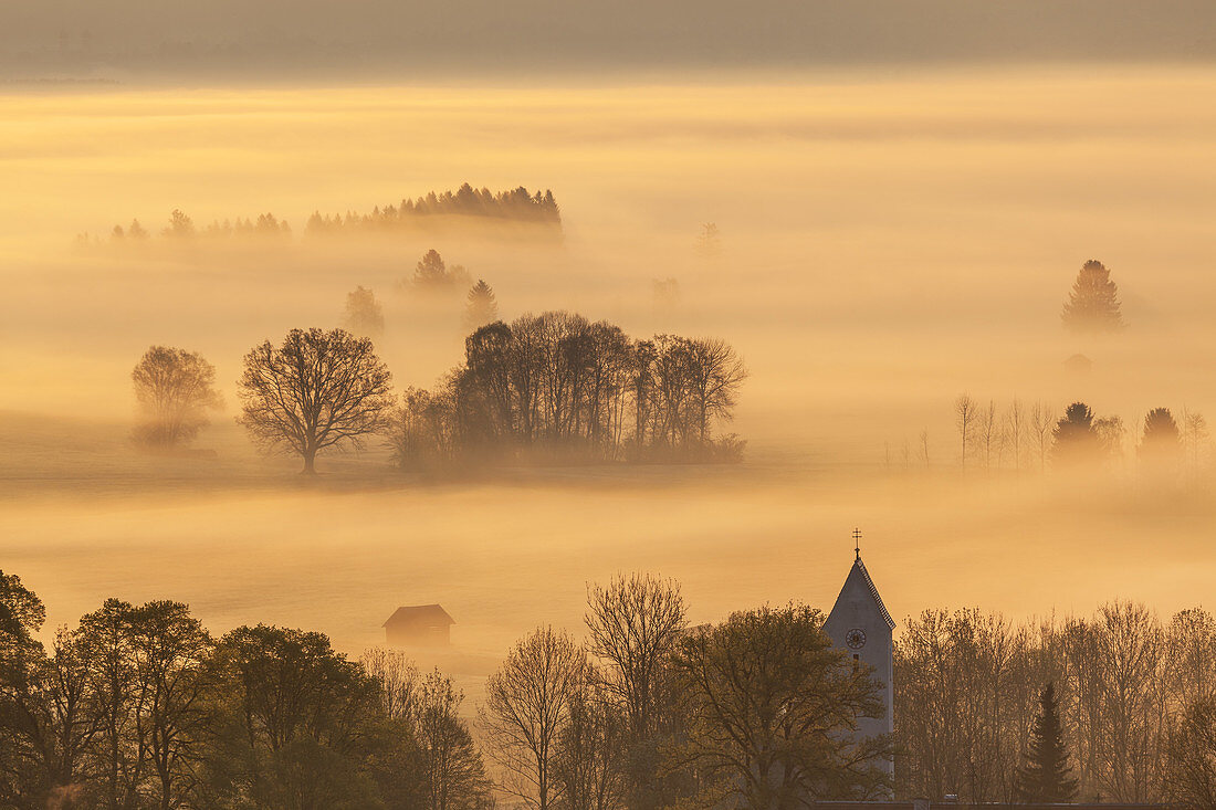 Nebel zum Sonnenaufgang über Kochelseemoos, Großweil, Oberbayern, Bayern, Deutschland
