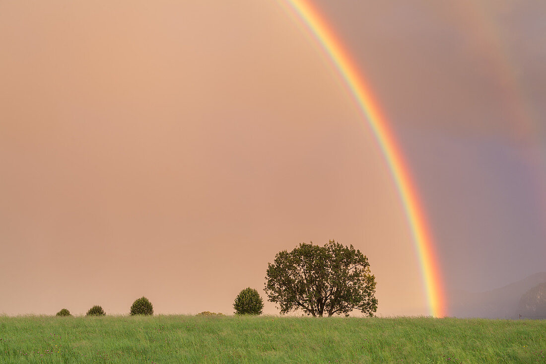 Regenbogen nach einem Gewitter, Großweil, Oberbayern, Bayern, Deutschland
