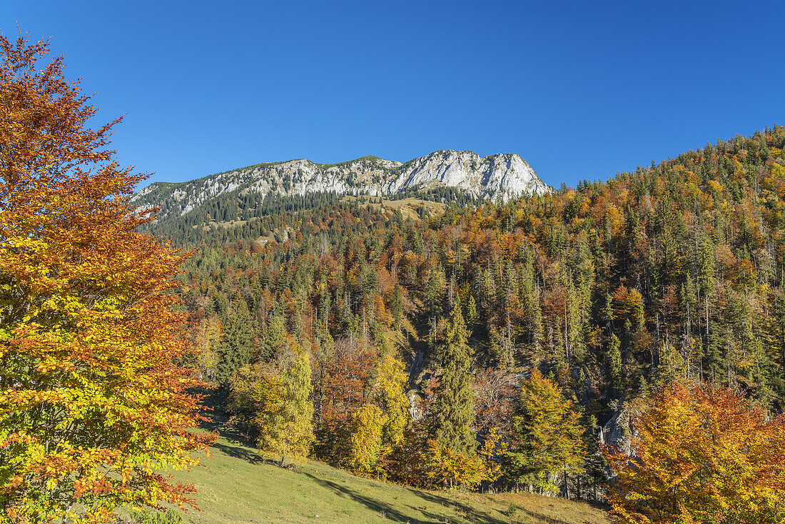 Südseite der Benediktenwand, Jachenau, Oberbayern, Bayern, Deutschland