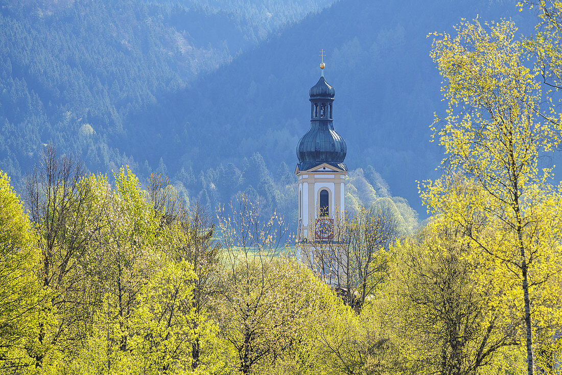 Parish Church of St. Jakob in Lenggries in spring, Tölzer Land, Upper Bavaria, Bavaria, Germany