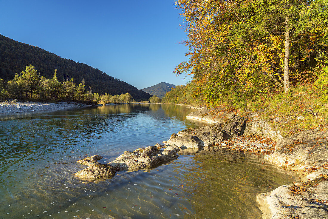 Autumn at the river Isar, Lenggries, Tölzer Land, Upper Bavaria, Bavaria, Germany