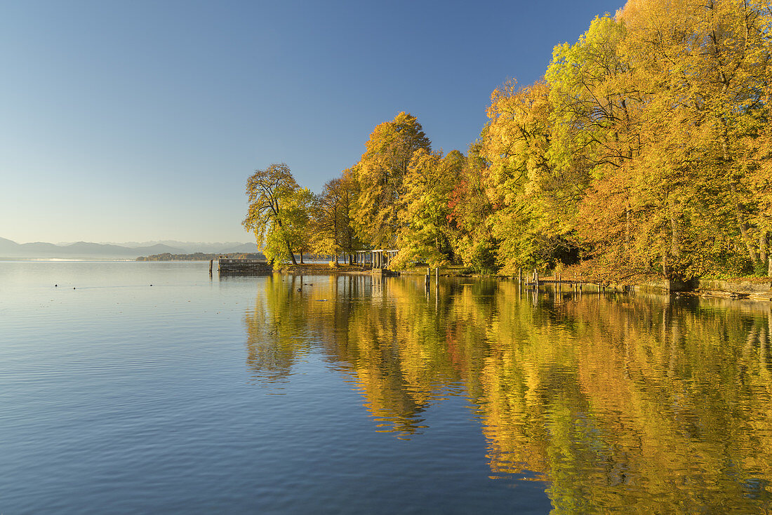 Autumn at Lake Starnberg in Tutzing, Fünfseenland, Upper Bavaria, Bavaria, Germany
