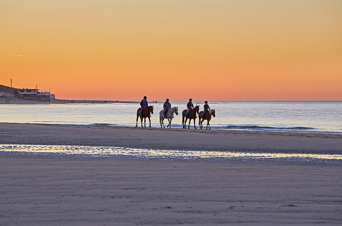 Reiter bei Sonnenuntergang am Strand von Vrouwenpolder, Halbinsel Walcheren, Provinz Zeeland, Nordsee, Niederlande, Holland 