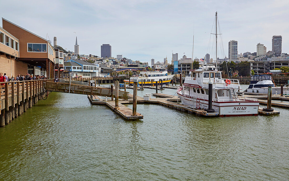 Blick von Pier 39 auf San Francisco, Kalifornien, USA 