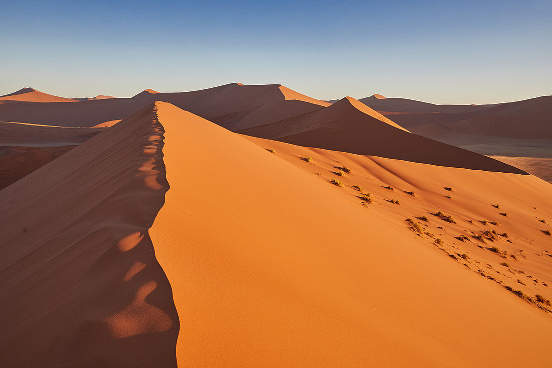 Dünen in der Wüste Namib, Namib Naukluft Park, Namibia