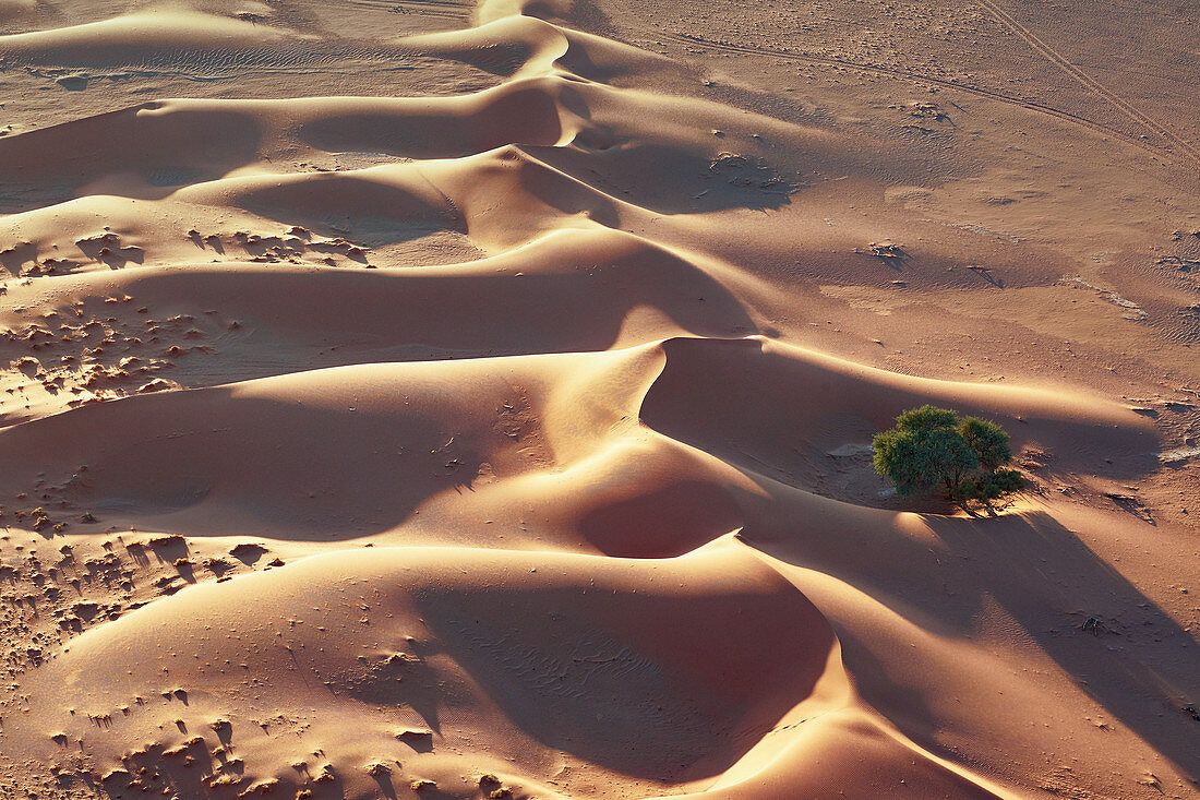 Dunes in the Namib Desert, Namib Naukluft Park, Namibia