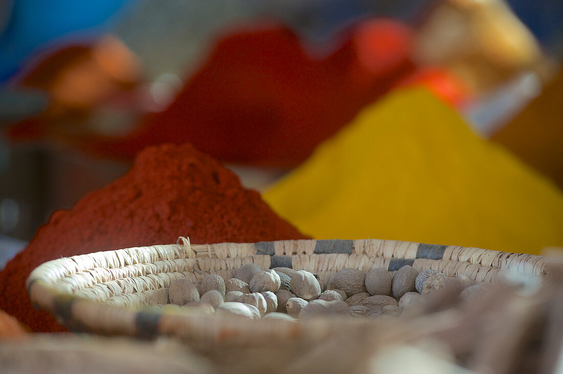 Farbige Gewürze, Pulver und Muskat auf dem Markt in Rissani, Tafilalet, Marokko