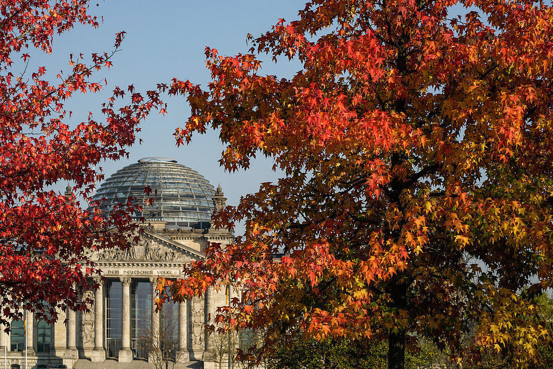 The Reichstag, Parliament and Bundestag, in autumn, Tiergaten, Berlin
