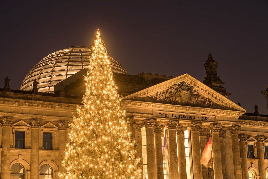 Weihnachtsbaum vorm Reichstag in Berlin