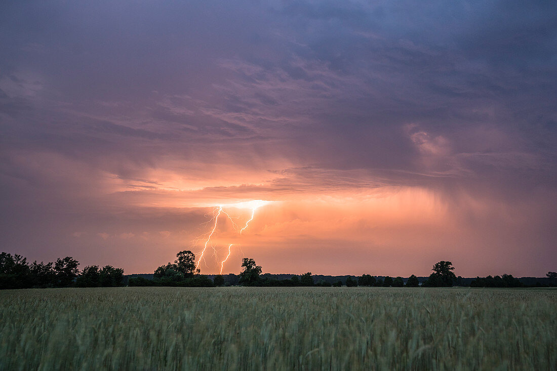 Blitze im Himmel über dem Spreewald, Brandenburg