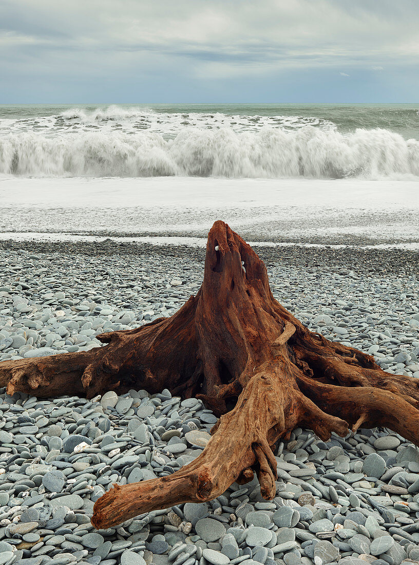 Driftwood at Gillespies Beach, Westland National Park, South Island, New Zealand, Oceania