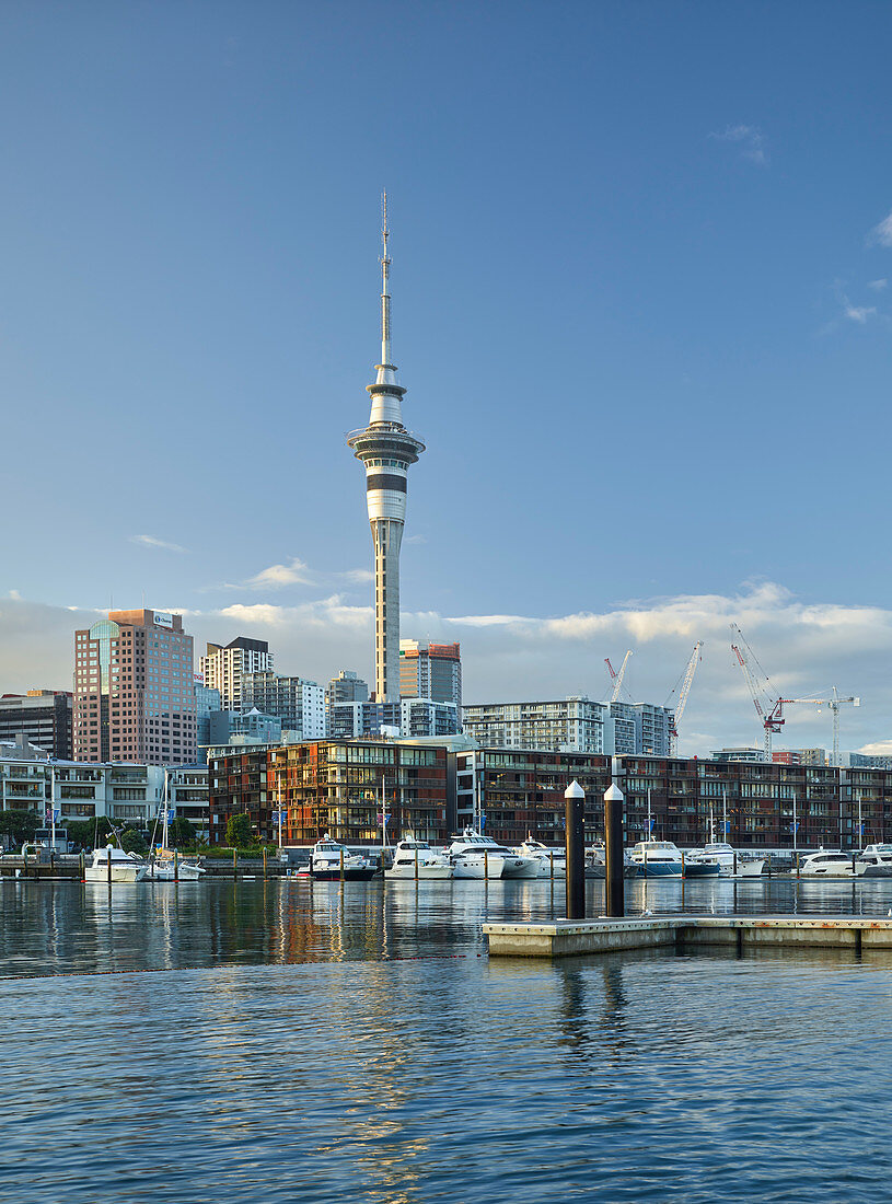 Winyard Crossing, Viaduct Basin, Sky Tower, Auckland, North Island, New Zealand, Oceania