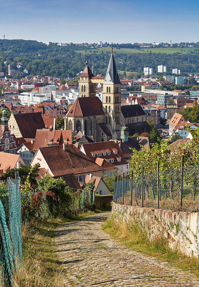 Weinberge, Dom und Altstadt von Esslingen, Baden-Württemberg, Deutschland