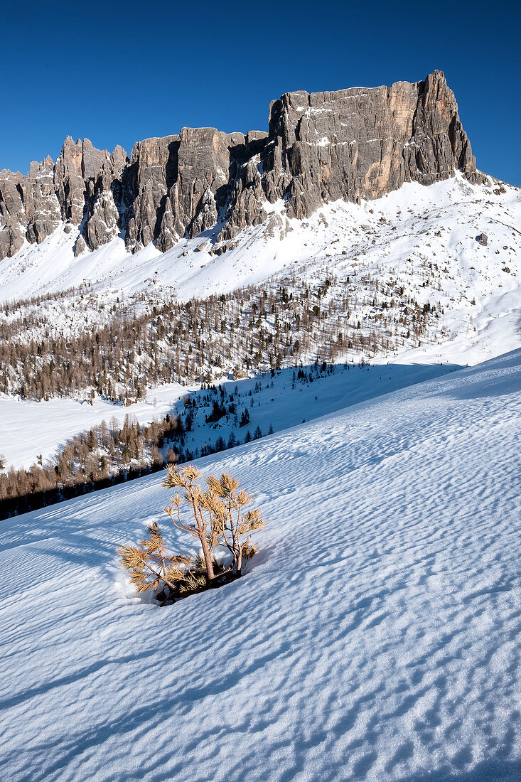 Mountain formation in the Dolomites in the snowy landscape in winter. Transition to springtime, Cortina d'Ampezzo, Belluna, Italy