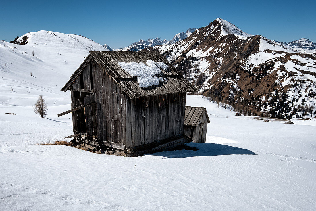 Old wooden hut in the snow overlooking the Passo di Giau where the snow melts and releases the mountains, Dolomites, Cortina d'Ampezzo, Belluna, Italy