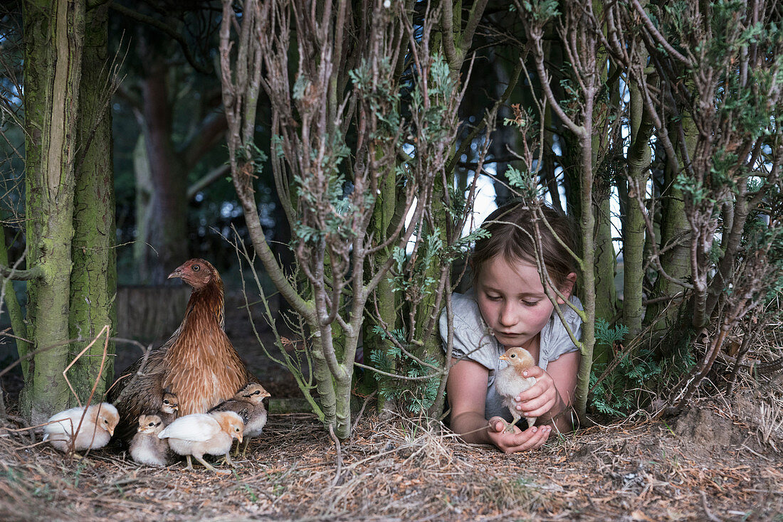 Girl holding baby chick under tree on farm