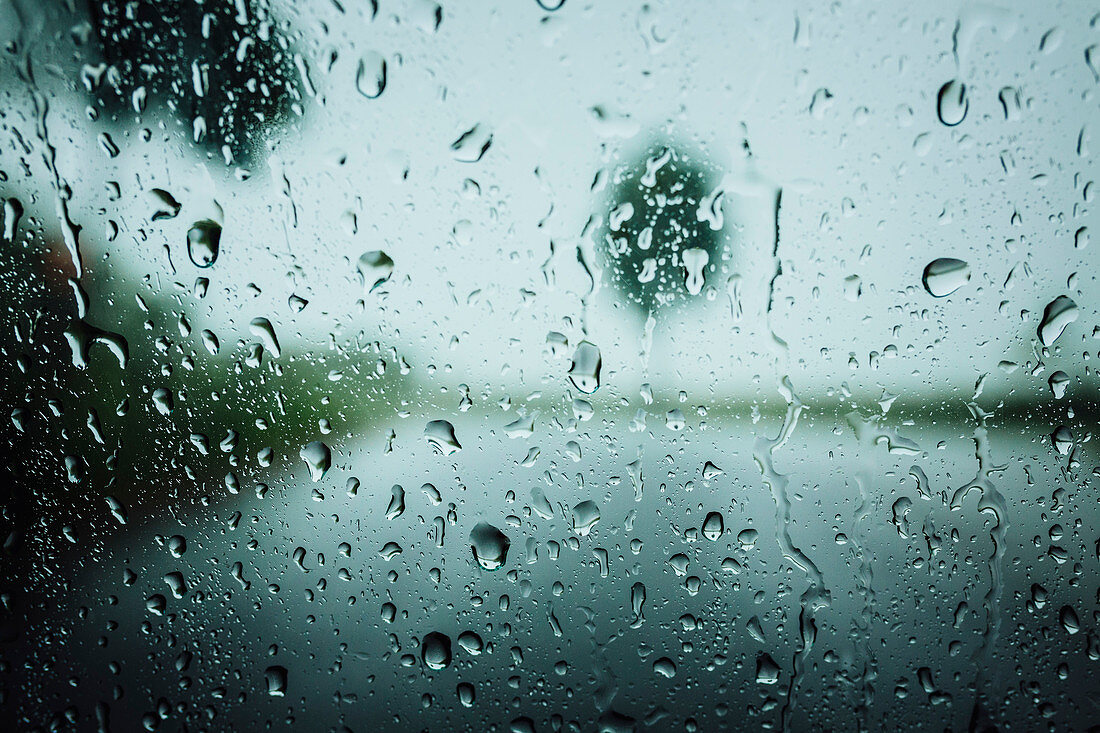 Raindrops on window