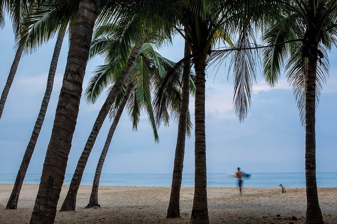 Male surfer and dog on tropical ocean beach with palm trees, San Pancho, Nayarit, Mexico
