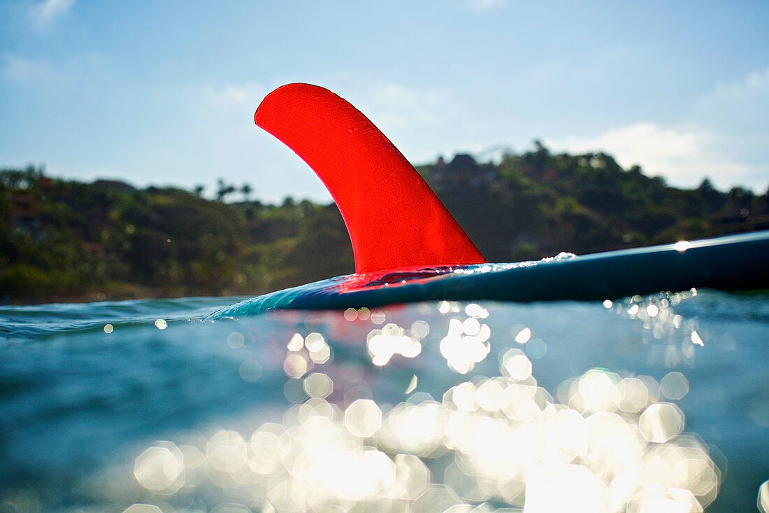 Helle rote Flosse auf dem Surfbrett im Meer