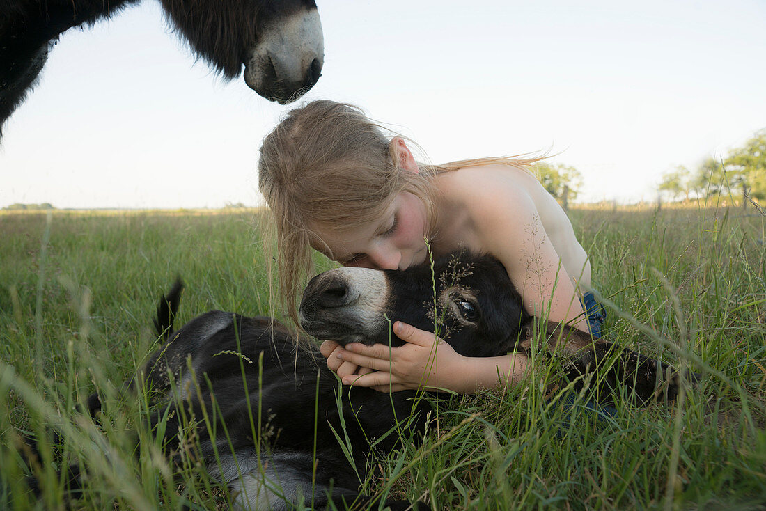 Girl hugging and kissing baby donkey in grass