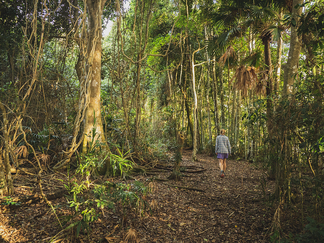 Woman walking in forest in Myall Lakes National Park, Australia