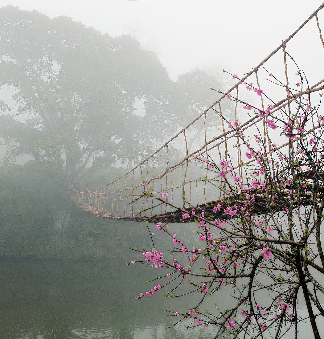 Footbridge Suspended Over a Foggy River,Lao Cai, Vietnam
