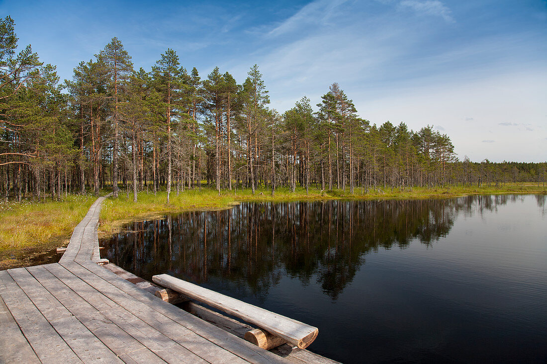 Calm Lake in Viru Bog,Estonia