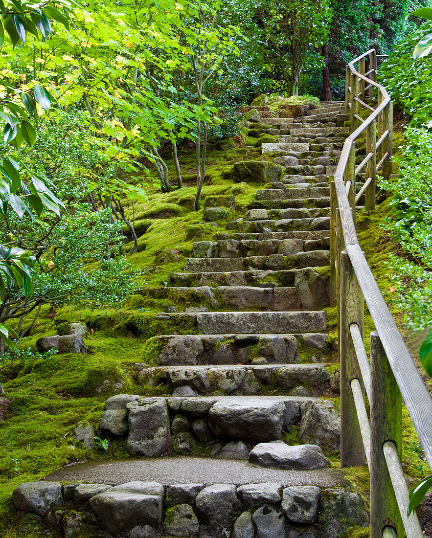 Outdoor Stone Stairway, Portland, Oregon, USA