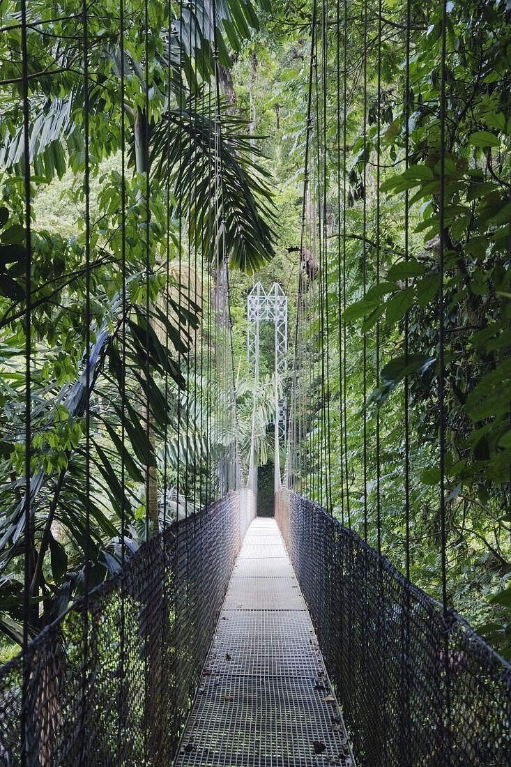 Fußgängerbrücke im Costa Ricanischen Wald, Arenal, Costa Rica