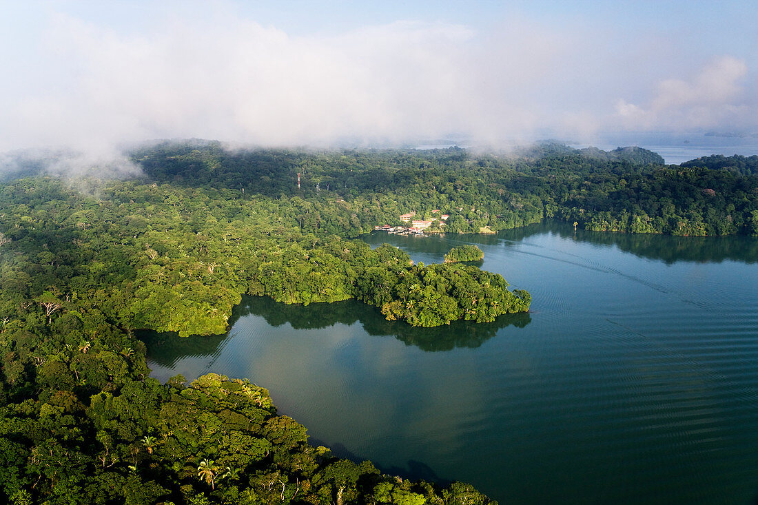 Wald und See, Barro Colorado Island, Kanalzone, Panama
