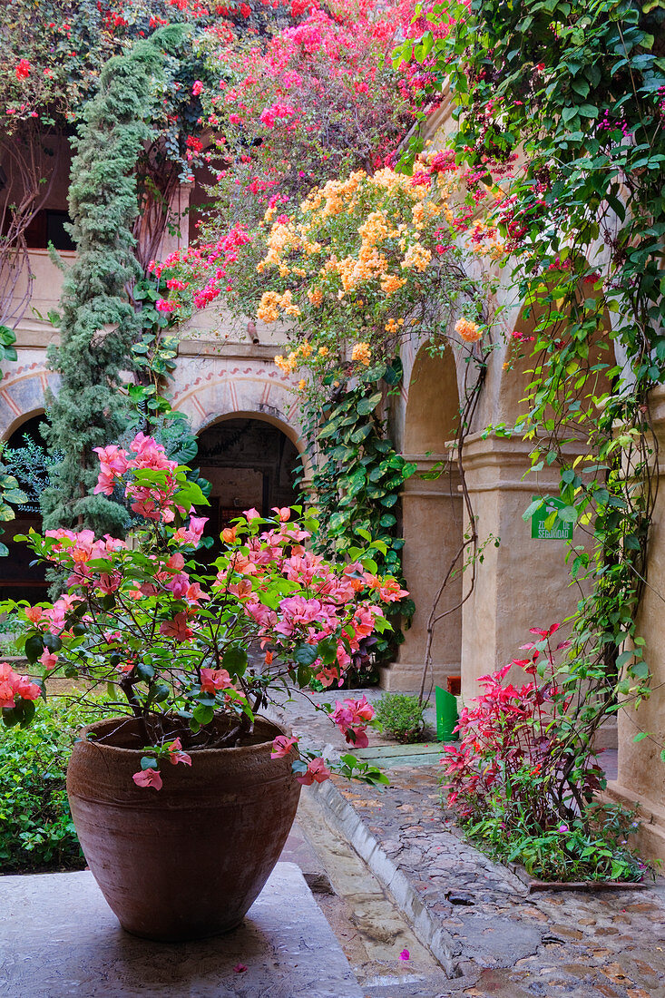 Old World Courtyard, Oaxaca, Mexico