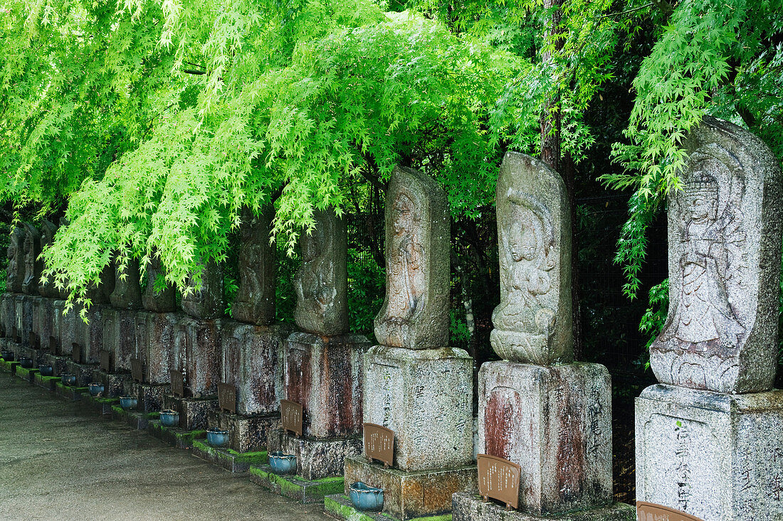 Reihe von spirituellen Statuen, Honshu Insel, Japan, Asien