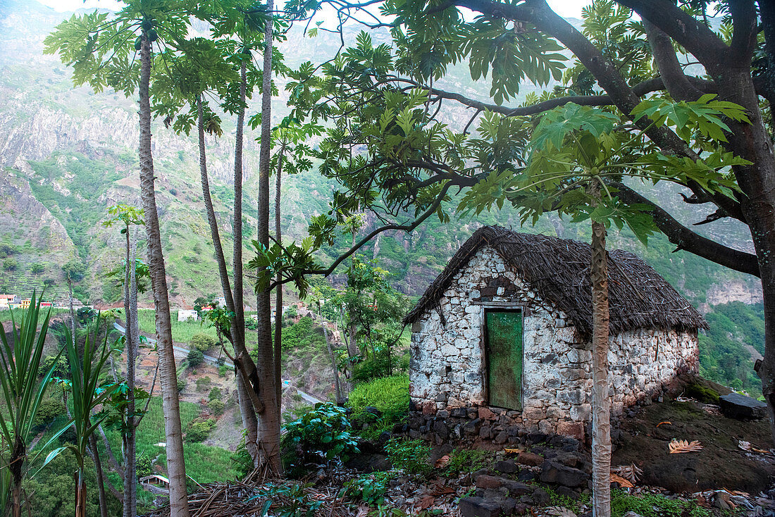 Kap Verde, Insel Santo Antao, Landschaft mit Bergen, grünes Tal, Papayabaum, traditioneller Schuppen