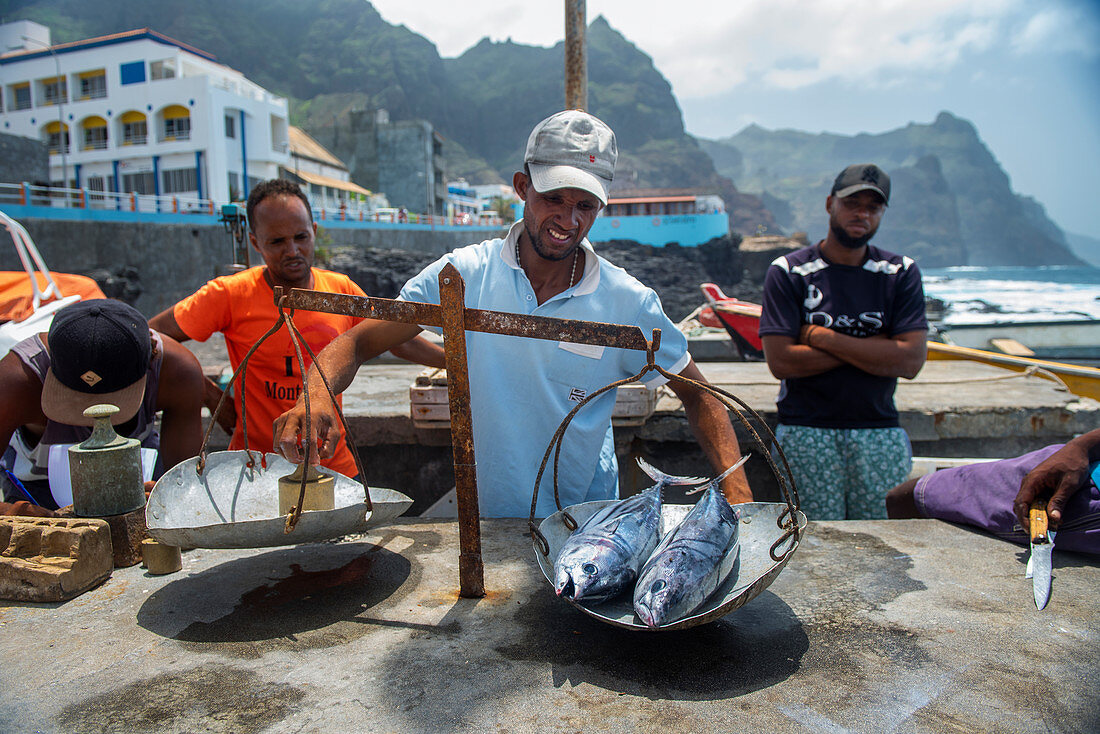 Kap Verde, Insel Santo Antao, der frische Fischfang, Thunfisch, wird gewogen