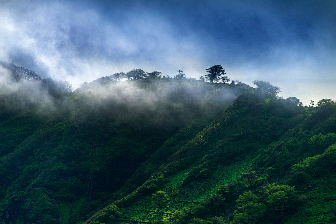 Cape Verde, Island Santiago, landscapes, rain season, morning fog\n\n\n\n\n\n\n\n\n\n\n\n\n\n\n\n\n\n\n\n\n\n\n\n\n\n\n\n\n\n\n\n\n\n\n\n\n\n\n\n\n\n\n\n\n\n\n\n\n\n\n\n\n\n\n\n\n\n\n\n\n\n\n\n\n\n\n\n\n\n\n\n\n\n\n\n\n\n\n\n\n\n\n\n\n\n\n\n\n\n\n\n\n\n\n\n\n\n\n\n\n\n\n\n\n\n\n\n\n\n\n\n\n\n\n\n\n\n\n\n\n\n\n\n\n\n\n\n\n\n\n\n\n\n\n\n\n\n\n\n\n\n\n\n\n\n\n\n\n\n\n\n\n\n\n\n\n\n\n\n\n\n\n\n\n\n\n\n\n\n\n\n\n\n\n\n\n\n\n\n\n\n\n\n\n\n\n\n\n\n\n\n\n\n\n\n\n\n\n\n\n\n\n\n\n\n\n\n\n\n\n\n\n\n\n\n\n\n\n\n\n\n\n\n\n\n\n\n\n\n\n\n\n\n\n\n\n\n\n\n\n\n\n\n\n\n\n\n\n\n\n\n\n\n\n\n\n\n\n\n\n\n\n\n\n\n\n\n\n\n\n\n\n\n\n\n\n\n\n\n\n\n\n\n\n\n\n\n\n\n\n\n\n\n\n\n\n\n\n\n\n\n\n\n\n\n\n\n\n\n\n\n\n\n\n\n\n\n\n\n\n\n\n\n\n\n\n\n\n\n\n\n\n\n\n\n\n\n\n\n\n\n\n\n\n\n\n\n\n\n\n\n\n\n\n\n\n\n\n\n\n\n\n\n\n\n\n\n\n\n\n\n\n\n\n\n\n\n\n\n\n\n\n\n\n\n\n\n\n\n\n\n\n\n\n\n\n\n\n\n\n\n\n\n\n\n\n\n\n\n\n\n\n\n\n\n\n\n\n\n\n\n\n\n\n\n\n\n\n\n\n\n\n\n\n\n\n\n\n\n\n\n\n\n\n\n\n\n\n\n\n\n\n\n\n\n\n\n\n\n\n\n\n\n\n\n\n\