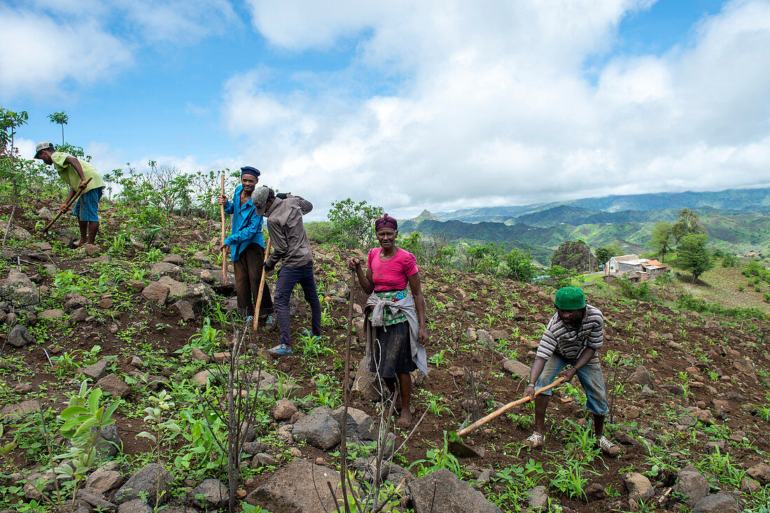Cape Verde, Island Santiago, rain season , mountains, farmers working the fields